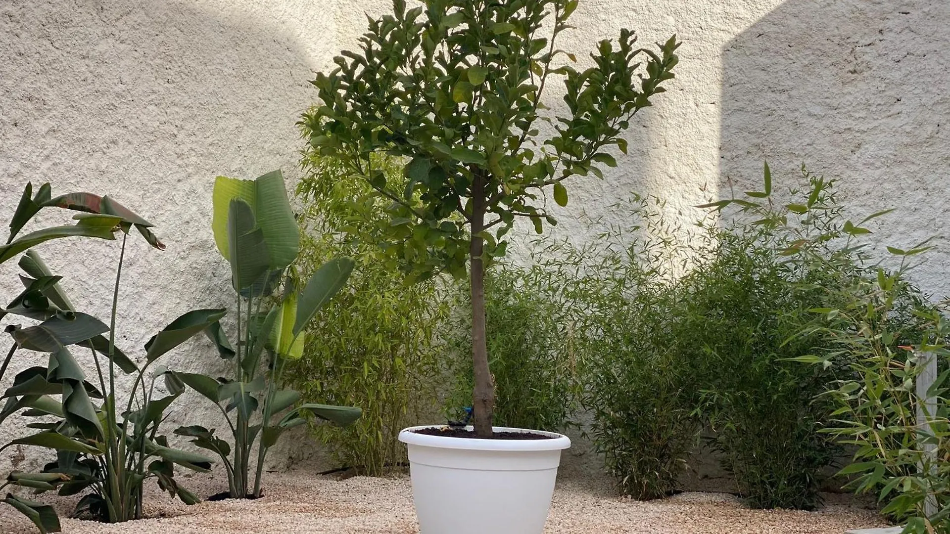 Limu Casa Vacanze Lampedusa Nocleg ze śniadaniem